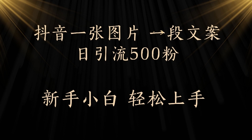 抖音一张图片，一段文案日引流500粉，新手小白 轻松上手-副业之家