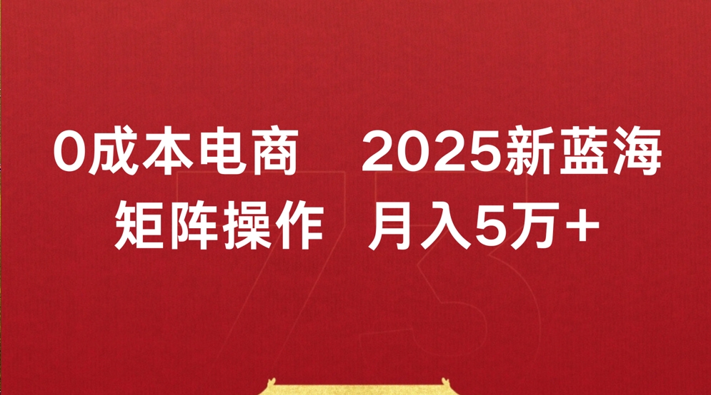 0成本电商2025新蓝海矩阵操作 月入5万+-副业之家