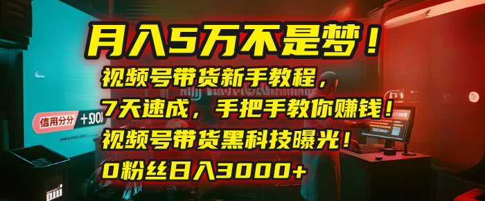 月入5万不是梦！视频号带货新手教程，7天速成，手把手教你赚钱！视频号带货黑科技曝光！0粉丝日入3000+-副业之家