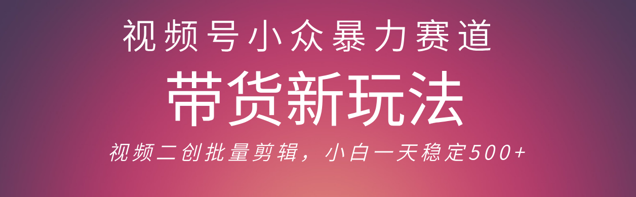 视频号小众暴力赛道，最新带货玩法 小白也能轻松日入500+ 保姆及教程-副业之家