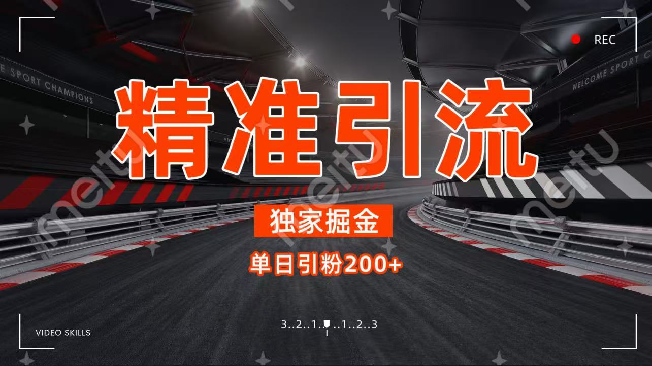 独家野路子精准引流 每日200+-副业之家
