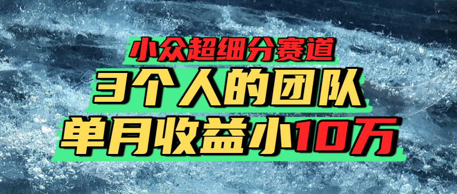 小众超细分赛道,一年百万利润的盘子!-副业之家