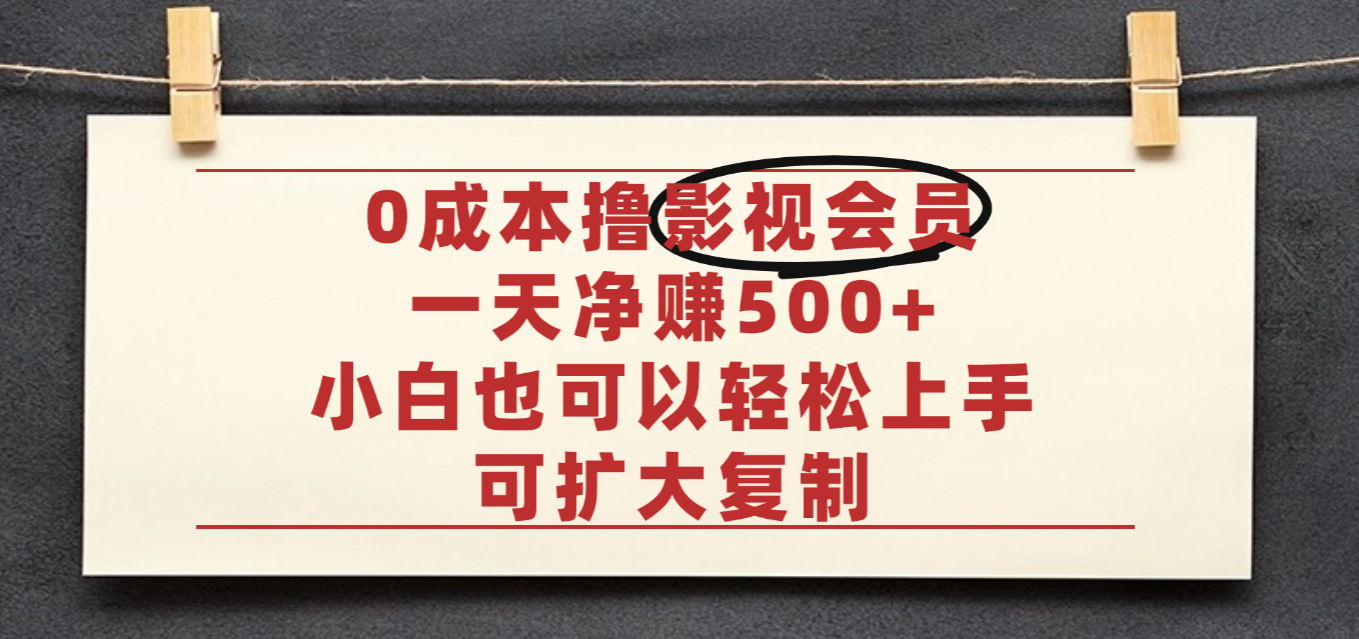 亲测，0成本可批量操作，靠卖影视会员实测月入30000+-副业之家