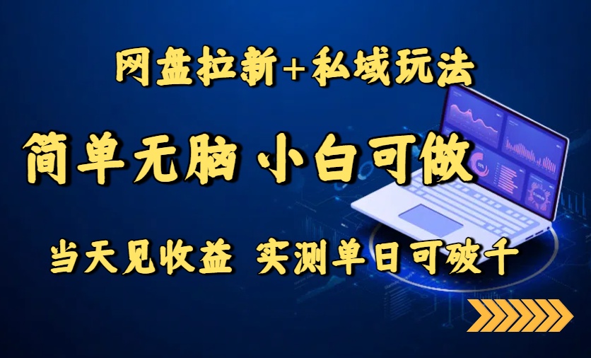 （15744期）网盘拉新+私域玩法，简单无脑，小白可做，当天见收益，实测单日可破千