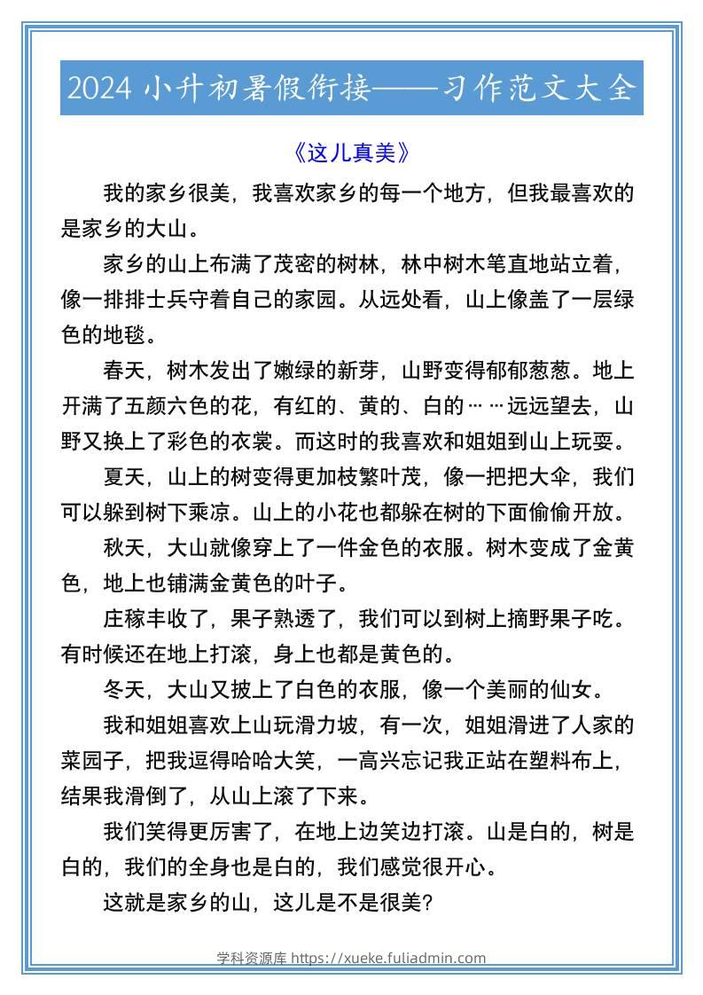 2024小升初暑假衔接习作范文大全-小升初语文-学科资源库